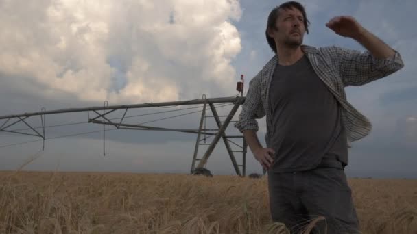 忧心忡忡的农民站在成熟的大麦田里 而强风在吹 希望一个更好的天气 — 图库视频影像