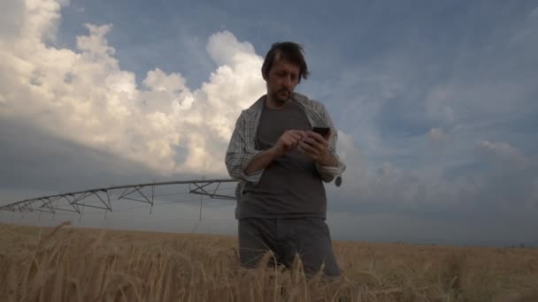 Zemědělec Který Využívá Smartphone Meteorologickou Aplikací Oblasti Kultivovaných Ječmene Větrného — Stock video