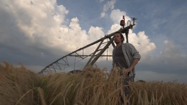 強風が吹いている間に熟した栽培大麦畑に立っている心配農家は より良い天気を期待して — ストック動画