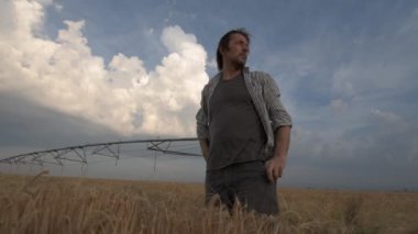 Çiftçi rüzgarlı bir günde ekili arpa alanında akıllı telefon hava uygulaması kullanarak. Tarımsal üretimde modern teknolojiyi kullanan erkek agronomist portresi.