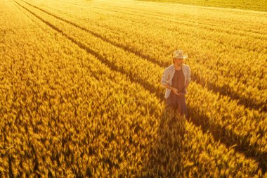 Alanında drone uzaktan kumanda ile buğday çiftçi