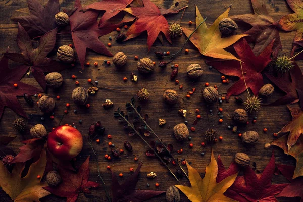 Herbstblätter und Früchte — Stockfoto