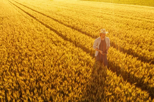 Agricultor de trigo com controlador remoto drone no campo — Fotografia de Stock