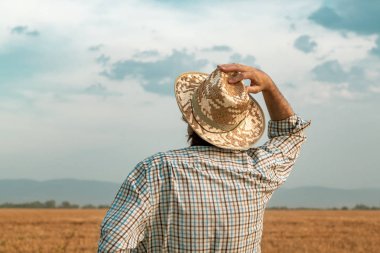 Rüzgarlı bir günde arpa tarlasında endişeli çiftçi