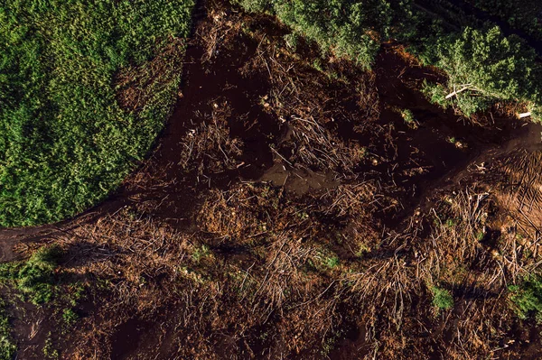 Drone POV Ormansız peyzaj havadan görünümü