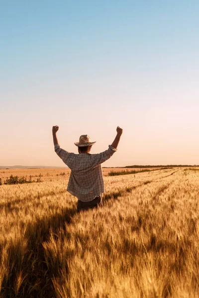 Υπερήφανος χαρούμενος νικητής αγρότης σιταριού με τα χέρια που μεγάλωσαν σε V — Φωτογραφία Αρχείου