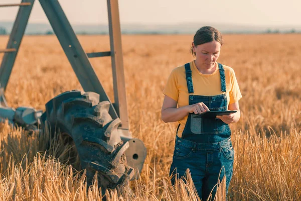 Tarwe boer met behulp van Tablet in graangewas veld — Stockfoto