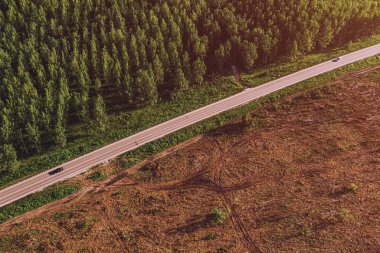 Cottonwood ormanı ile ormansızlaşma arasındaki yolun havadan görünümü