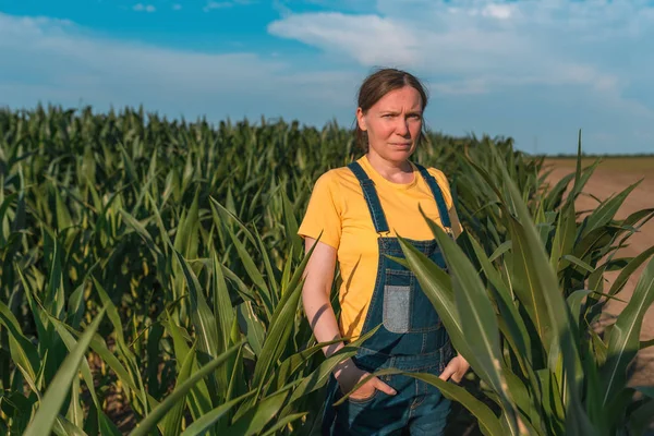 Coltivatore di mais in campo, ritratto di donna agronomo — Foto Stock
