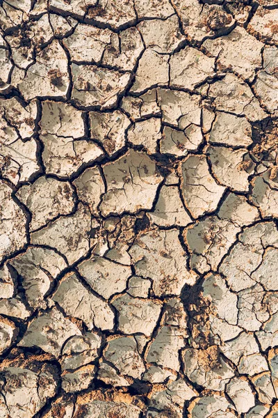 Száraz sivatagi föld textúra a háttérben — Stock Fotó