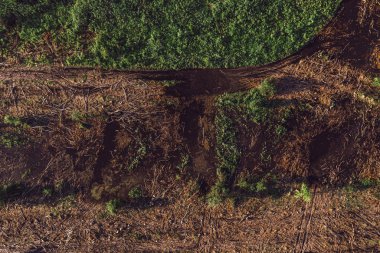 Drone POV Ormansız peyzaj havadan görünümü
