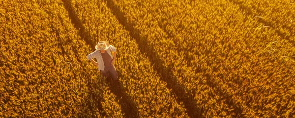 Altın olgun buğday tarlasında duran çiftçinin havadan görünümü — Stok fotoğraf