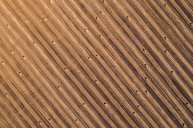 Hasattan sonra tarladaki kare saman balyalarının havadan görünüşü