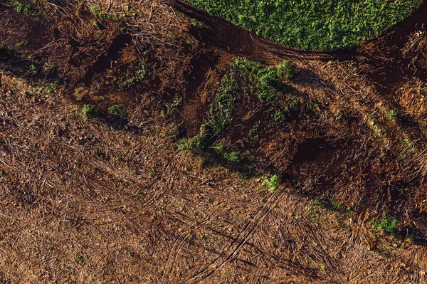 Vista aérea da paisagem desmatada de pontos de vista drone — Fotografia de Stock