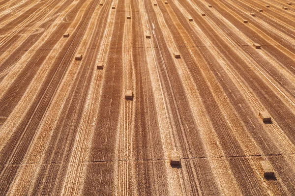 Вид с воздуха на квадратные тюки сена в поле после сбора урожая — стоковое фото
