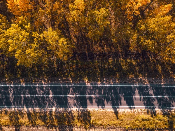 Vista aérea da estrada vazia através da floresta no outono — Fotografia de Stock