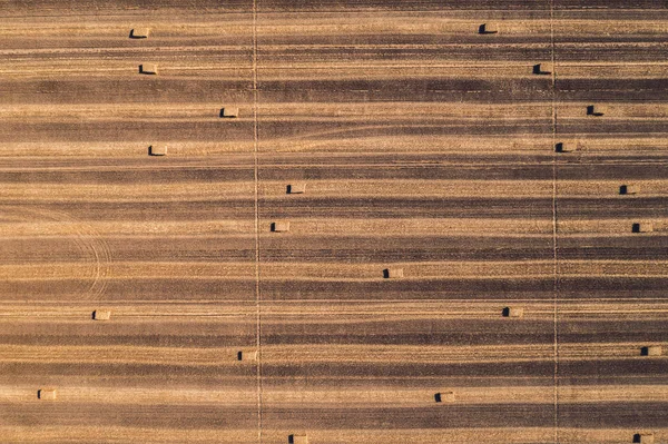 Вид на повітряні тюки квадратного сіна в полі після збору врожаю — стокове фото