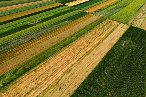 Aerial view of cultivated agricultural fields in summer — Stock Photo, Image