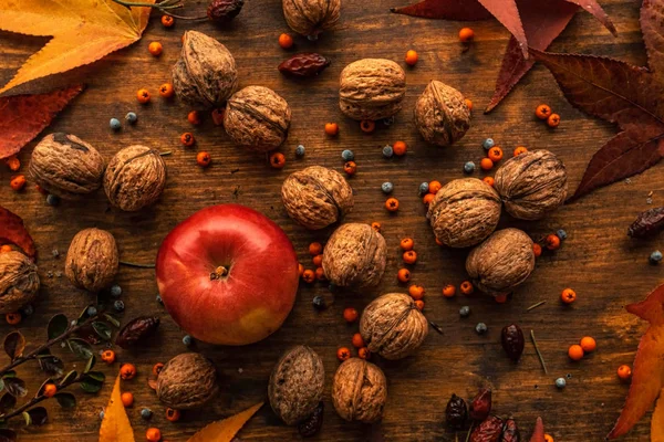 Appel en walnoot, herfst overvloed — Stockfoto