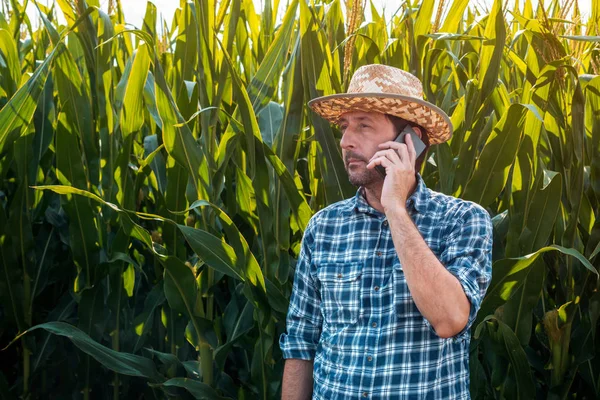 Maïs boer praten op mobiele telefoon in gewas veld — Stockfoto