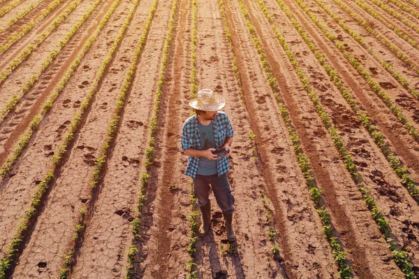 Αγρότης με τηλεκατευθυνόμενο τηλεχειριστήριο σε σόγια πεδίο, εναέρια Vie — Φωτογραφία Αρχείου