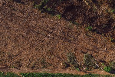 Drone POV Ormansız peyzaj havadan görünümü