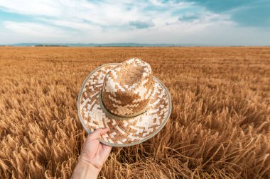 Neşeli memnun çiftçi tutan saman şapka açık havada
