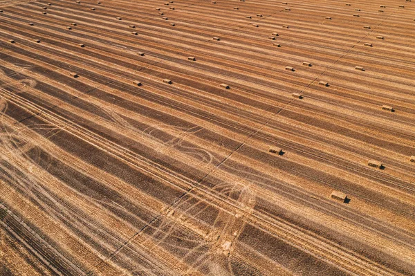 Vista aérea de fardos cuadrados de heno en el campo después de la cosecha —  Fotos de Stock