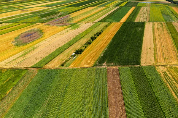 Luchtfoto van de bebouwde landbouwvelden in de zomer — Stockfoto