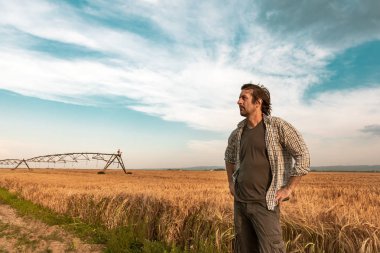 Rüzgarlı bir günde arpa tarlasında endişeli çiftçi