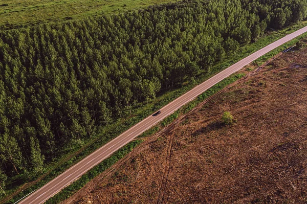 棉林和被砍伐森林之间的道路鸟瞰图是 — 图库照片