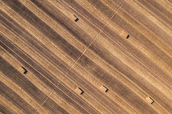 収穫後の野の四角形の干し草の山の眺め — ストック写真