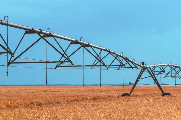 在大麦中安装洒水器的自动化农业灌溉机械 — 图库照片