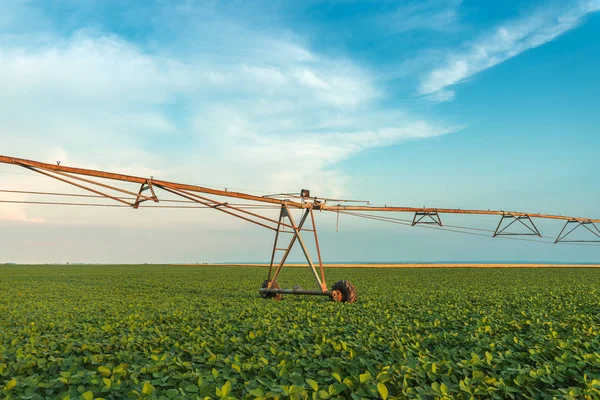 Irrigation sprinklers in young soybean field — Stock Photo, Image