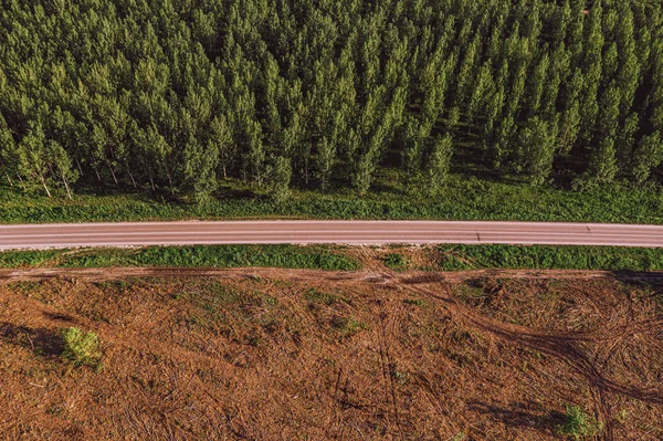 Cottonwood ormanı ile ormansızlaşma arasındaki yolun havadan görünümü
