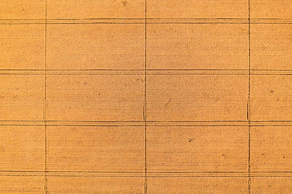 Letecký pohled na zralé pšeničné pole z bzukot POV — Stock fotografie