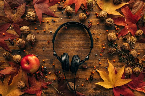 Flat lay top view headphones with autumn arrangement — Stock Photo, Image