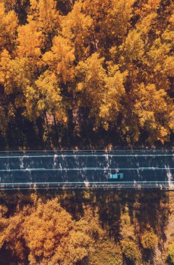 Aerial view of car on road through forest in autumn clipart