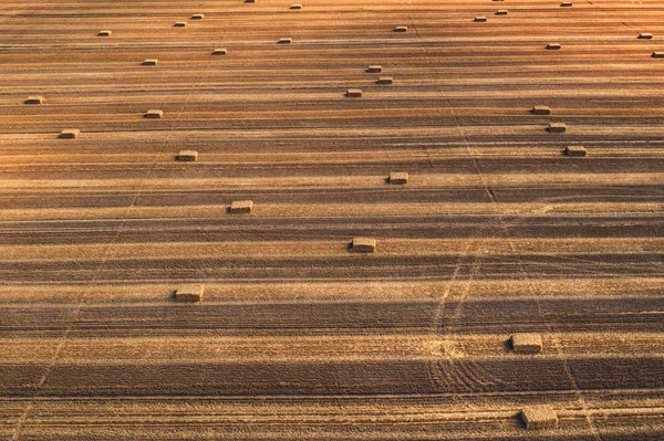 Vista aérea de fardos cuadrados de heno en el campo después de la cosecha —  Fotos de Stock