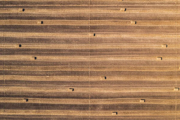 Aerial view of square hay bales in field after harvest