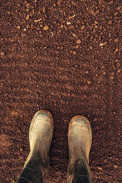 Visão superior de botas de borracha de agricultor em terras aráveis aradas — Fotografia de Stock