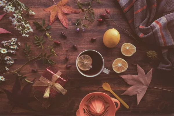 Plana colocar chá de ervas de rosa mosqueta em uma xícara — Fotografia de Stock
