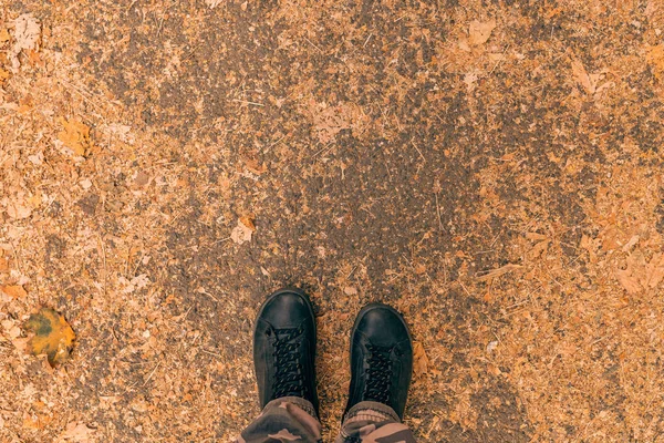 Stående på trottoaren täckt med krossade torra blad — Stockfoto