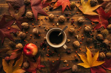 Sonbahar kahve molası, doğrudan yukarıda