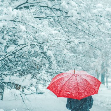 Kış karda yürüme kırmızı şemsiye altında kadın