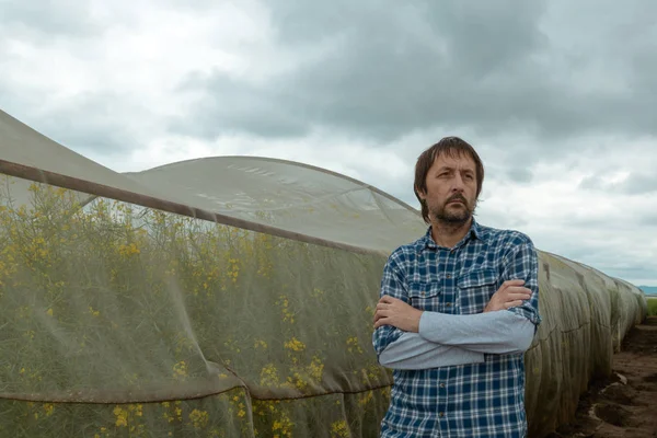 Agricoltore fiducioso che posa in campo colza — Foto Stock