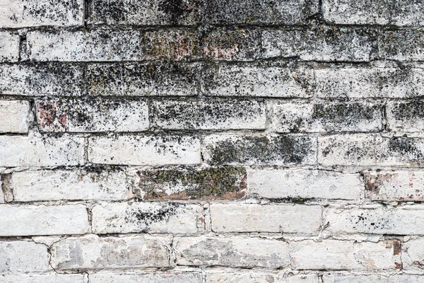 Vieux fond de mur de brique blanche — Photo