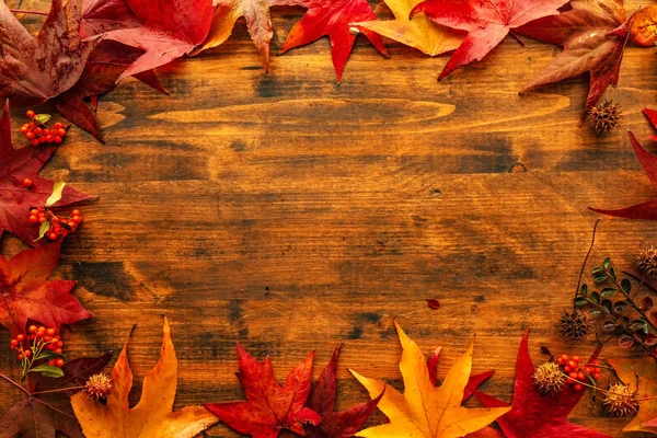 Autumn maple leaves background