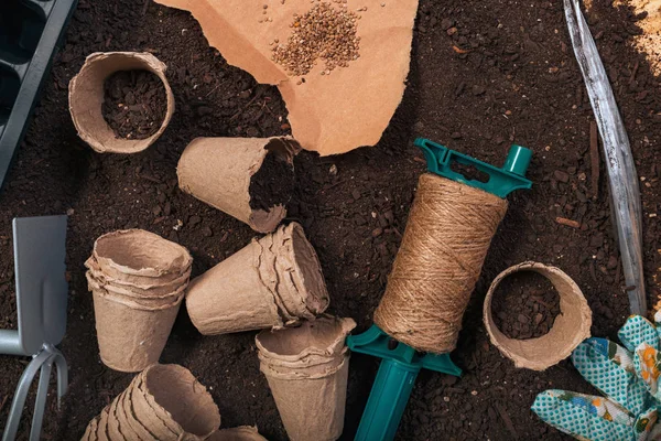 Biodegradable flowerpots in soil Stock Photo