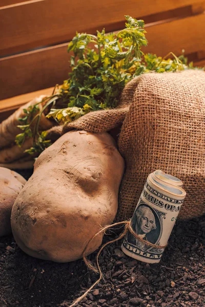 Lucro da agricultura biológica de batata e salsa — Fotografia de Stock